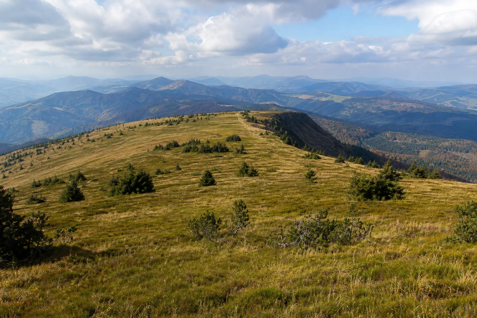 Pilsko 1557 m — łagodny trawiasty szczyt Beskidu Żywieckiego