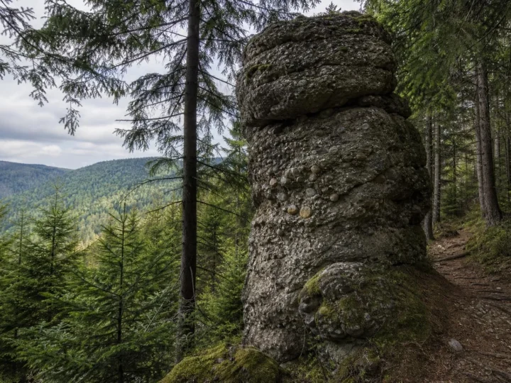 Skalna ambona na Malinowskiej Skale przy czerwonym szlaku